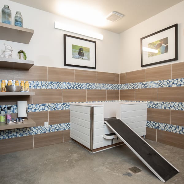 The Alcott offers a Pet Spa | Pet Friendly Apartments in Downtown Denver, CO