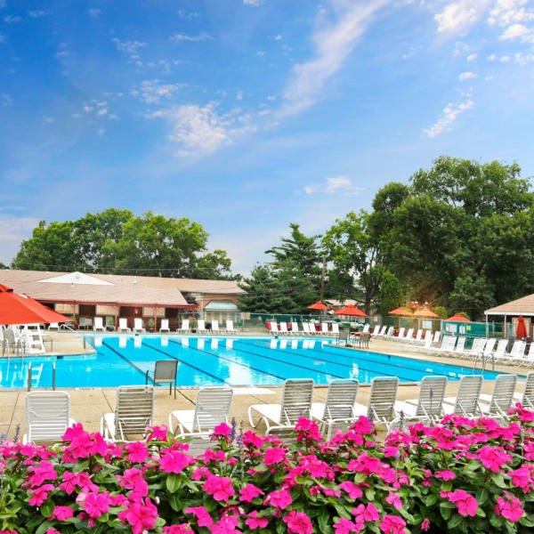 Resort style pool surrounded by tons of lounge chairs at Glenwood Apartments in Old Bridge, New Jersey