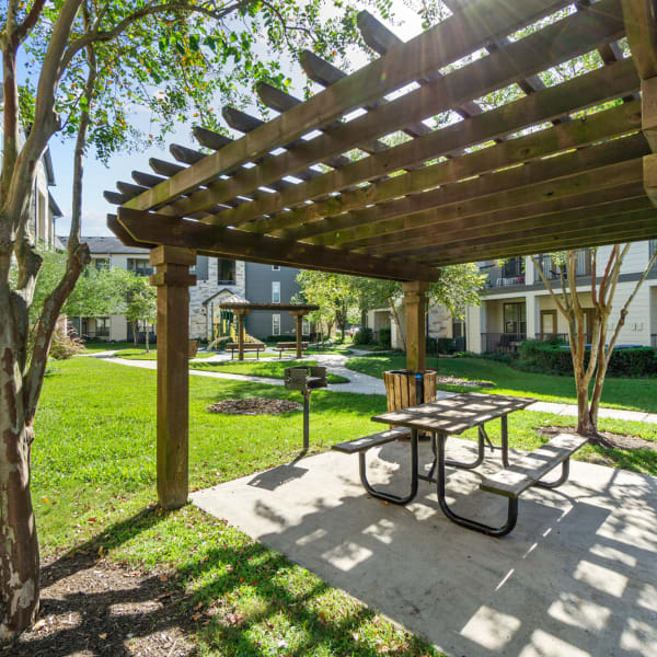 Outdoor lounge with at Discovery at Kingwood in Kingwood, Texas