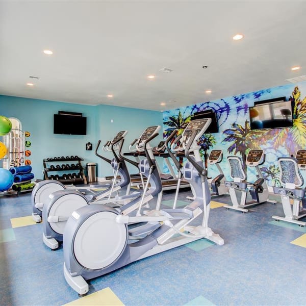 Resident gym with individual work stations at The Palms at Morada in Stockton, California