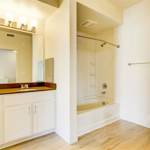Large bathroom with a vanity mirror and oval tub at The Palms at Morada in Stockton, California