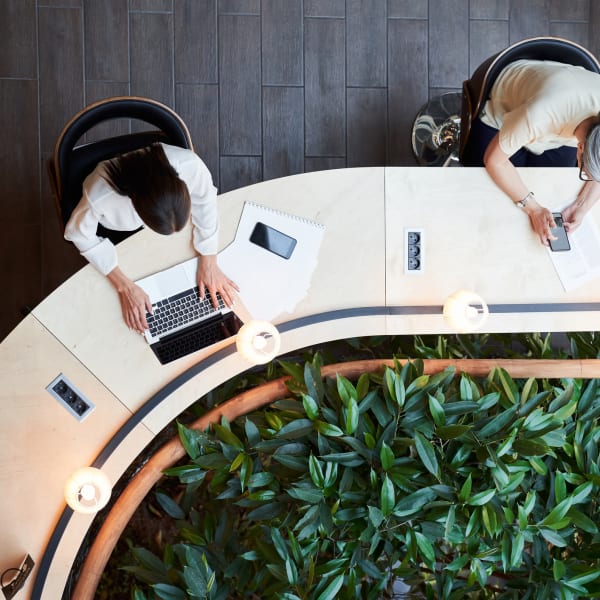 lunchtime from above at American Property Management in Bellevue, Washington