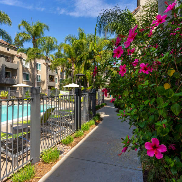 Explore the neighborhood around Mission Pacific in San Diego, California