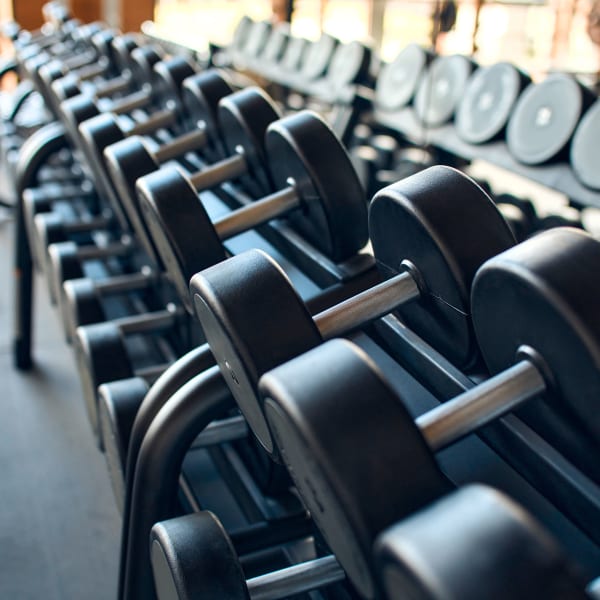 The Magellan offers a wide variety of amenities in Port Chester, New York
