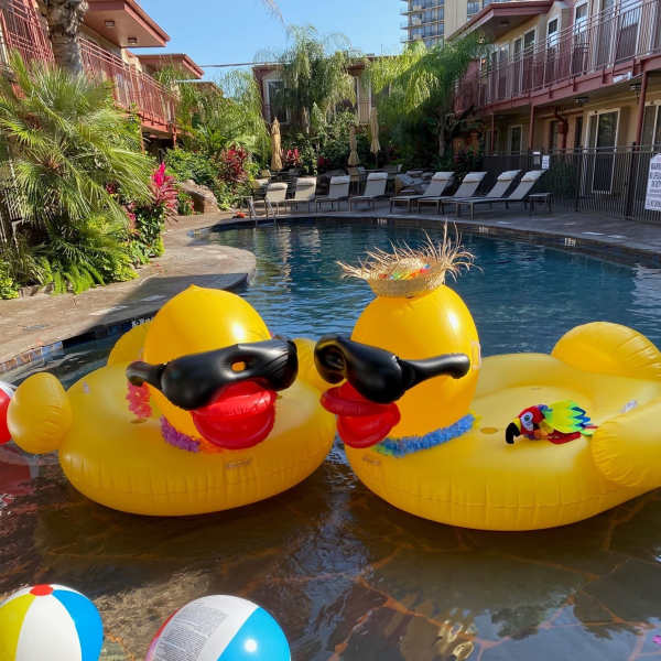 Galleria Oaks offers a wide variety of amenities in Houston, Texas