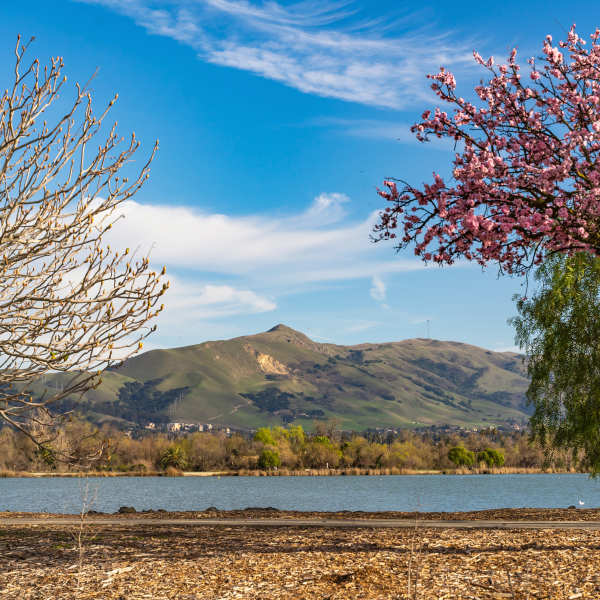 Pasatiempo offers a wide variety of local amenities in Fremont, California