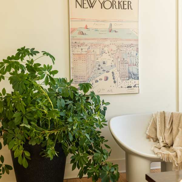 Living room with plants at Detroit, Michigan