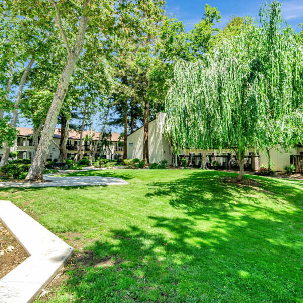 Explore the neighborhood around Clayton Gardens in Concord, California