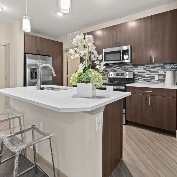 View floor plans offered at Harbor Hill in Rockwall, Texas