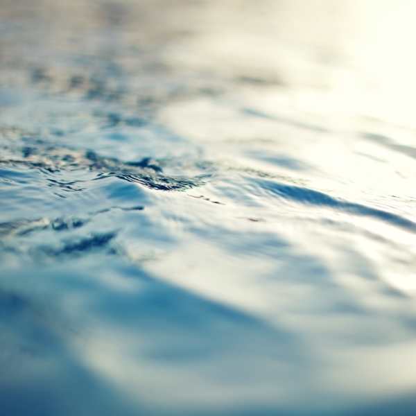 Vue 3600 offers a wide variety of amenities in Richmond, California