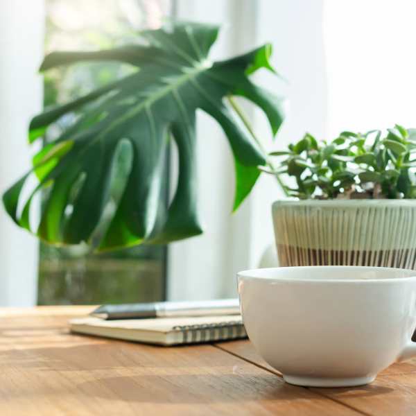 Clubhouse at Rockwood Park, North Chesterfield, Virginia