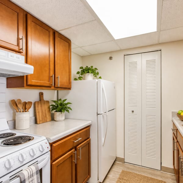 View our Floor Plans at Village Center in Detroit, Michigan