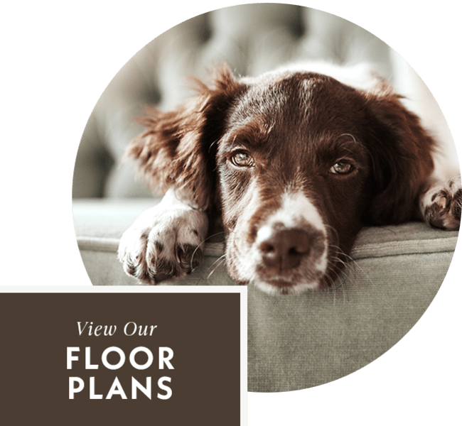 Floor plans at Highland Groves at Morrison Ranch Apartments in Gilbert, Arizona