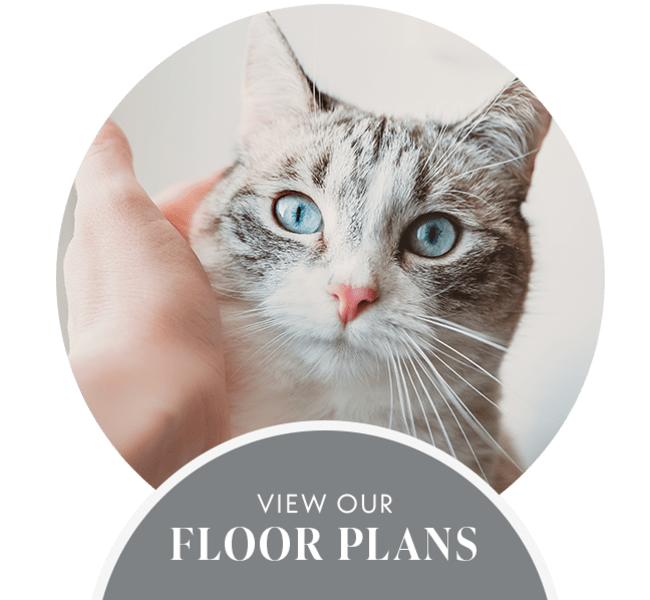 Floor plans at Mosaic Apartments in Coral Springs, Florida