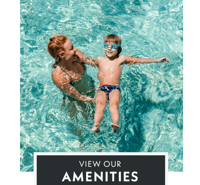 Amenities at Shelter Cove Apartments in Las Vegas, Nevada