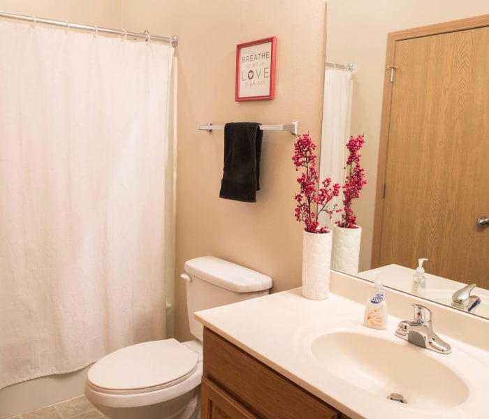 An apartment bathroom at Riverwood in Pleasant Hill, Iowa