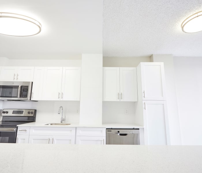 Apartment features at Aliro in North Miami Beach, Florida
