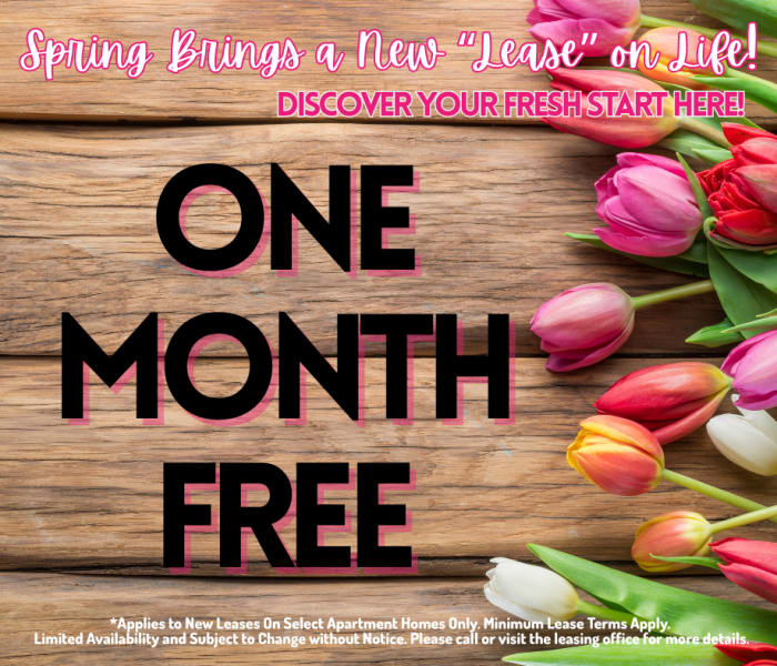 South Shore Coastal Living 1 Month Free on Select Units - Limited Availability