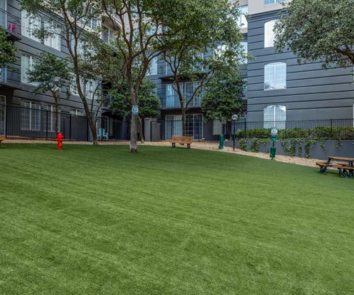 Dog Park at Remi in Dallas, Texas 