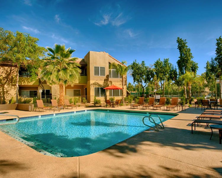 Resort style pool at Sonoran
