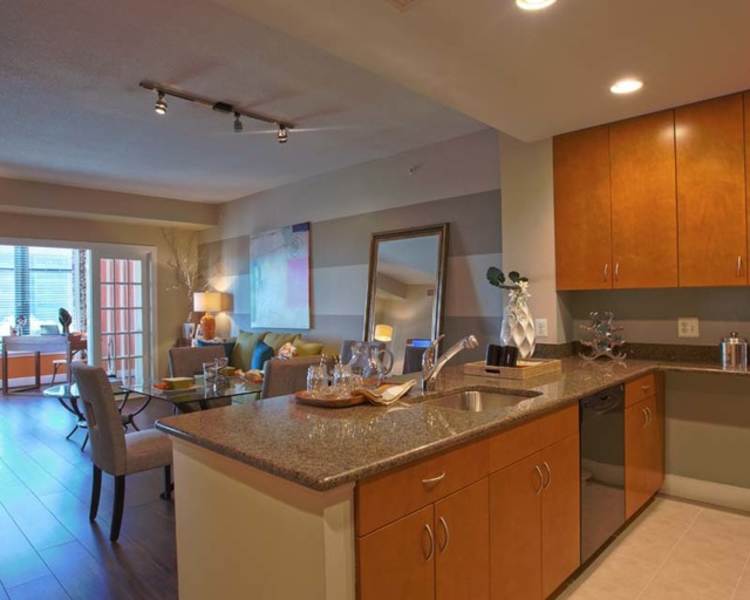 Kitchen with a dishwasher at The Eden in Baltimore, Maryland