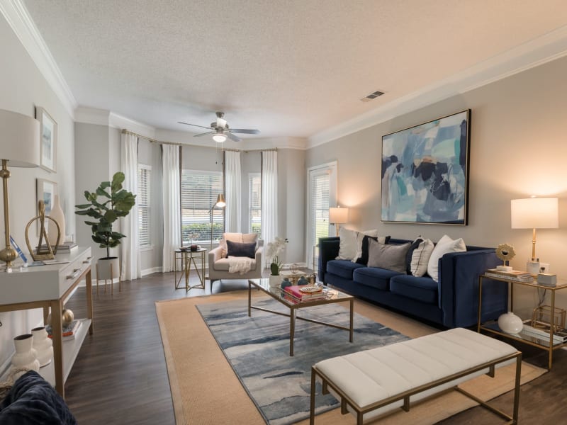 Well-furnished living room in a model apartment at Chace Lake Villas in Birmingham, Alabama