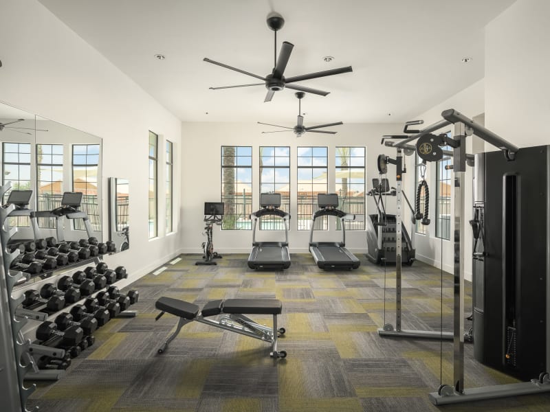 Fitness center at Peralta Vista in Mesa, Arizona