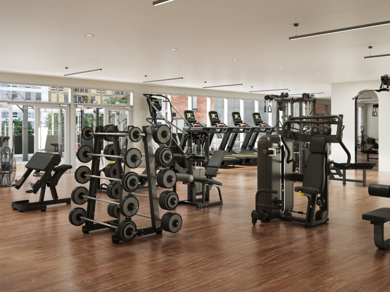 Modern gym fitness room with treadmills at The Pacific and Malibu in Tucson, Arizona