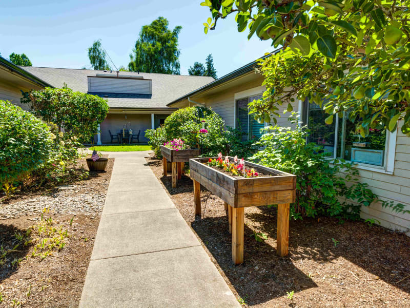 Courtyard walking path and raised flower beds at Timberwood Court Memory Care in Albany, Oregon