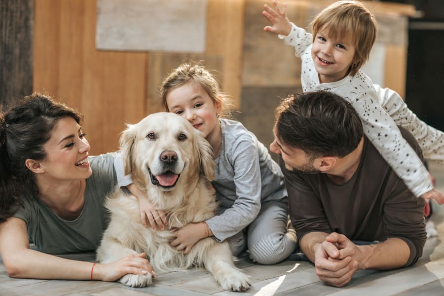 Happy dog and family in their townhome at The Townhomes at BlueBonnet Trails in Waxahachie, Texas