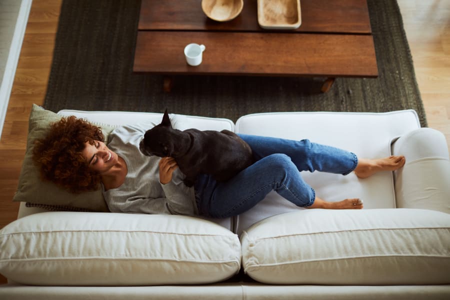 A woman relaxes on the sofa with her puppy at The Landing at Lakewood Harbour, Lexington, Kentucky