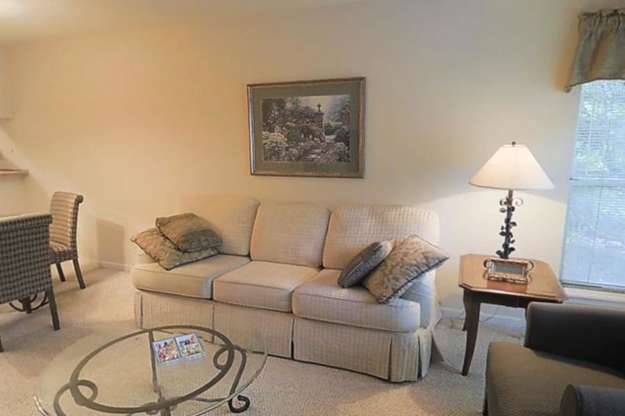 Model apartment living room at Acasă Tropical Ridge in Columbia, South Carolina