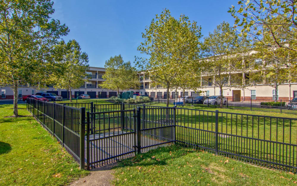 Fenced dog park at Easton Commons Apartments & Townhomes in Columbus, Ohio
