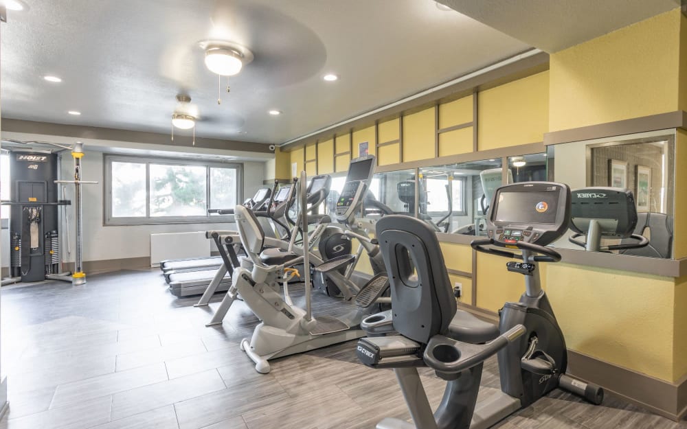 Luxury Apartments for Rent in Downtown Norfolk, VA