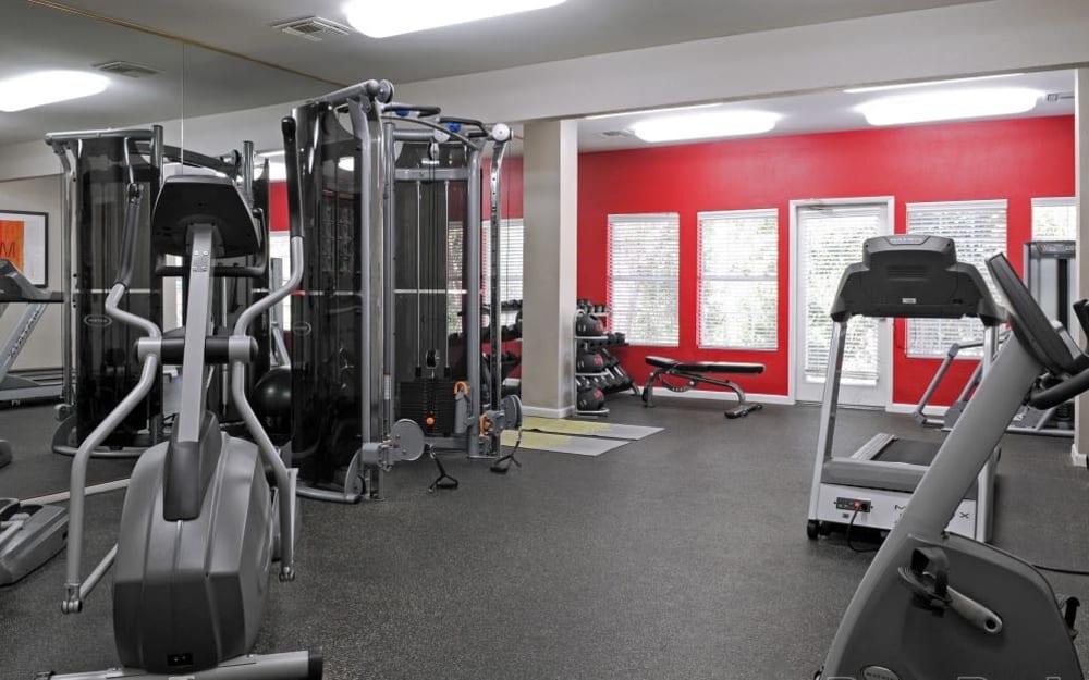 Well-equipped fitness center with cardio equipment at Hampton Greene Apartment Homes in Columbia, South Carolina