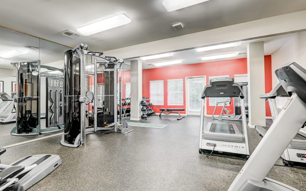 Well-equipped fitness center with cardio equipment at Hampton Greene Apartment Homes in Columbia, South Carolina