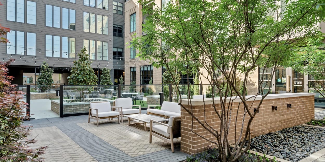 Beautiful landscaping in the courtyard at Ross + Peak in Dallas, Texas