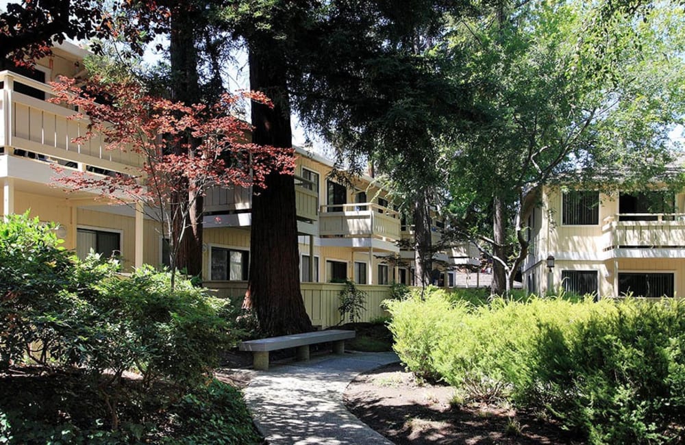 shaded front area at Central Park Apartments in Sunnyvale, California