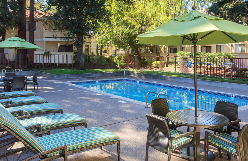 swimming pool with lounge chairs at Central Park Apartments in Sunnyvale, California