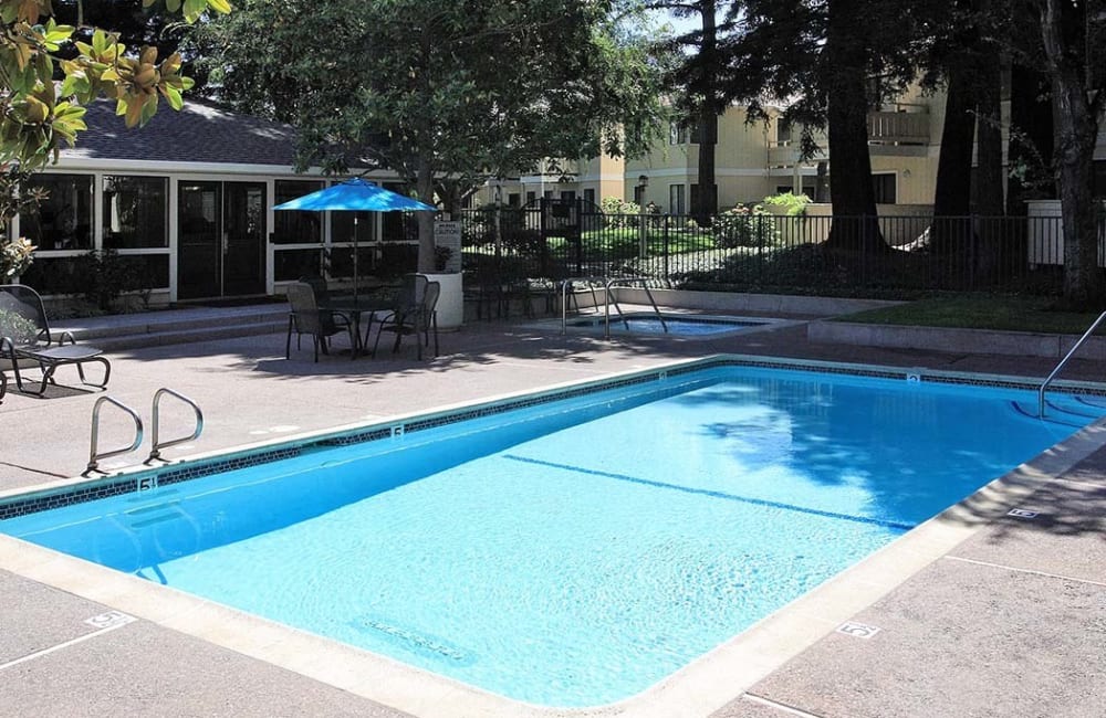 sunny day at the pool at Central Park Apartments in Sunnyvale, California