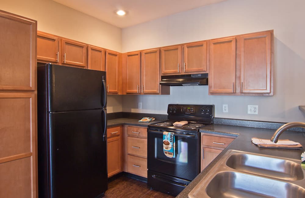 Fully equipped kitchen with modern appliances at The Overlook at Golden Hills in Lexington, South Carolina