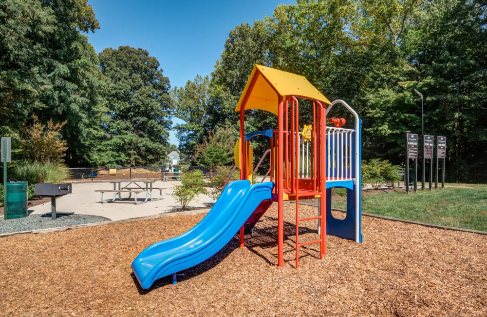Playground and picnic are at The Pointe at Stafford Apartment Homes in Stafford, Virginia