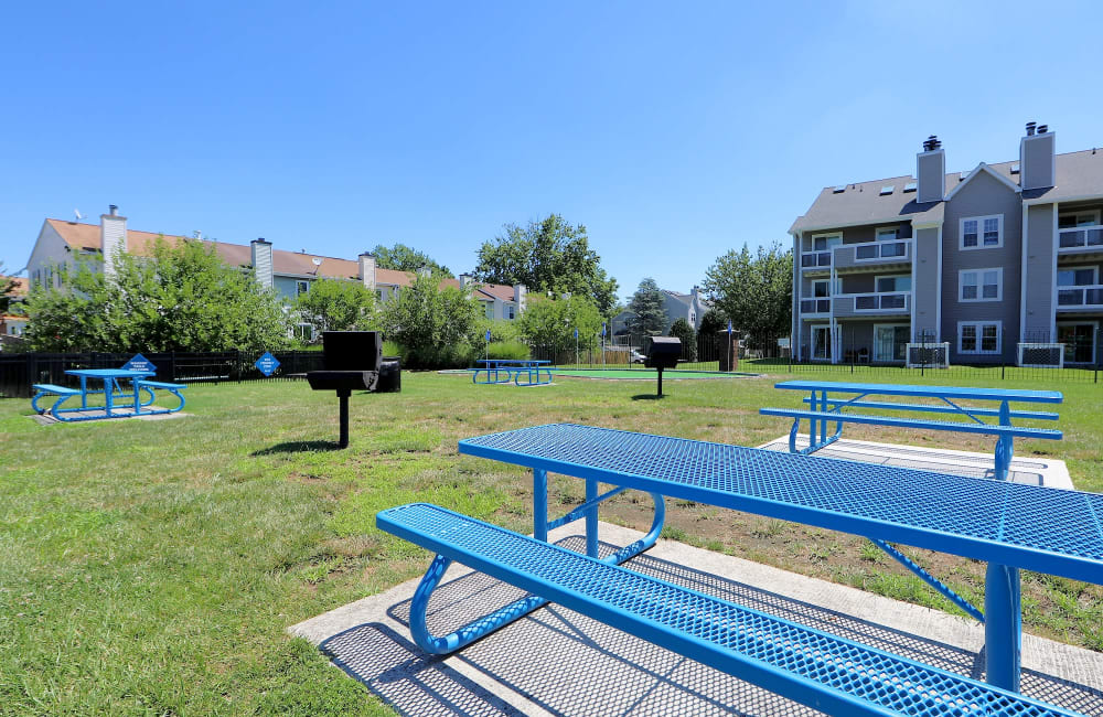 Grassy area with picnic tables and charcoal grills at East Meadow Apartments in Fairfax, Virginia