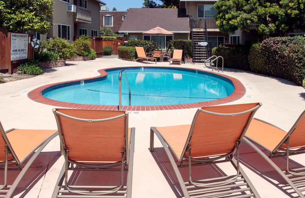 lounge chairs by the pool at El Prado in Los Altos, California