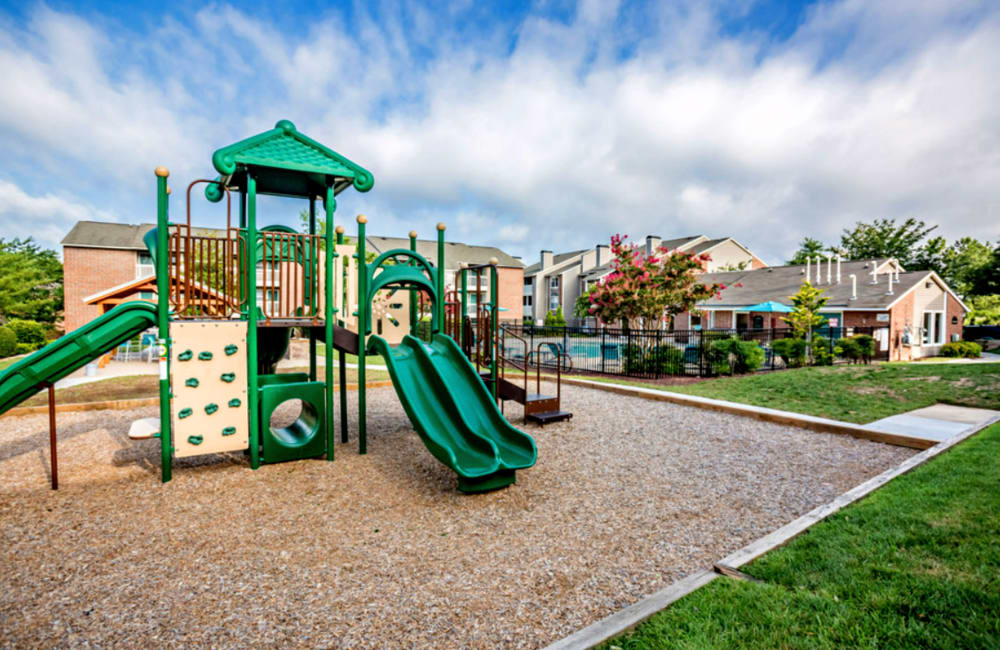 Enjoy the playground amenities at Anson at North Hills in Raleigh, North Carolina