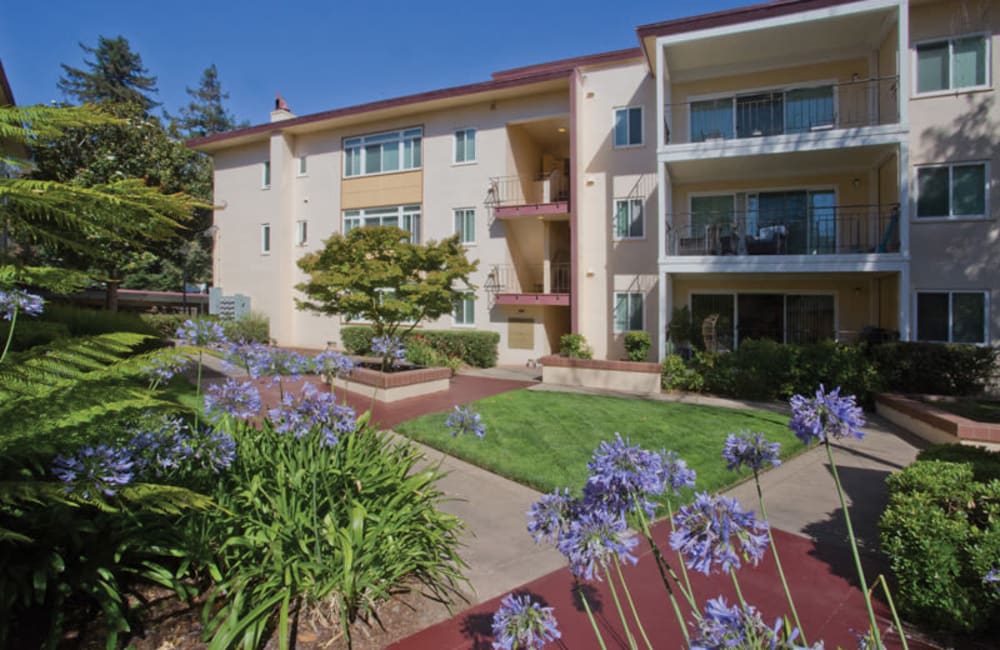 outdoor garden area at Park Royal Apartments in San Mateo, California