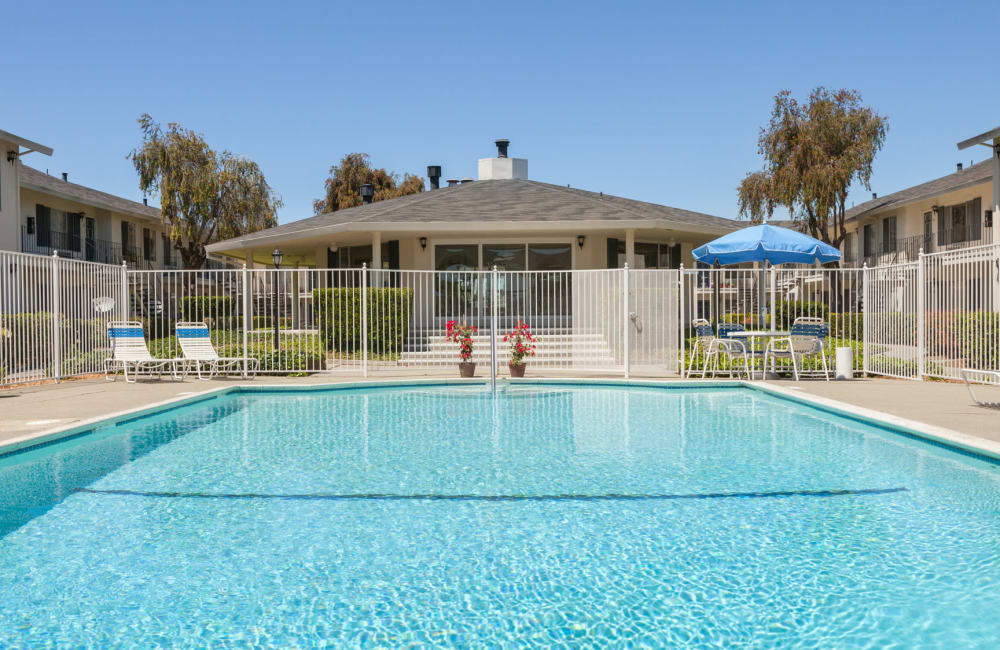 sunny day at the pool at Vista Pointe in Santa Clara, California