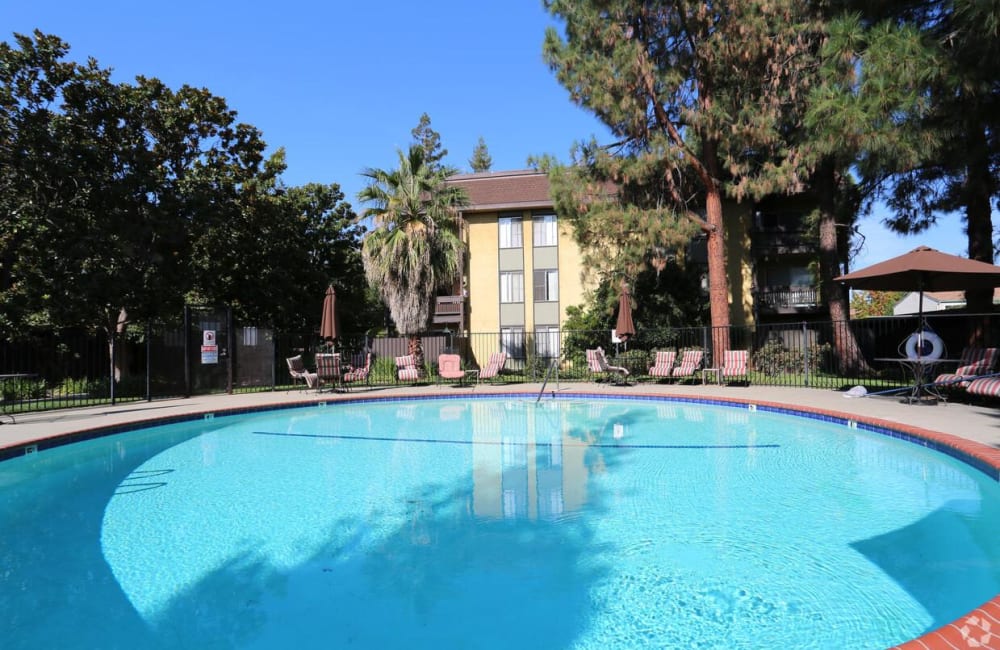 swimming pool at Meadow Wood in Concord, California