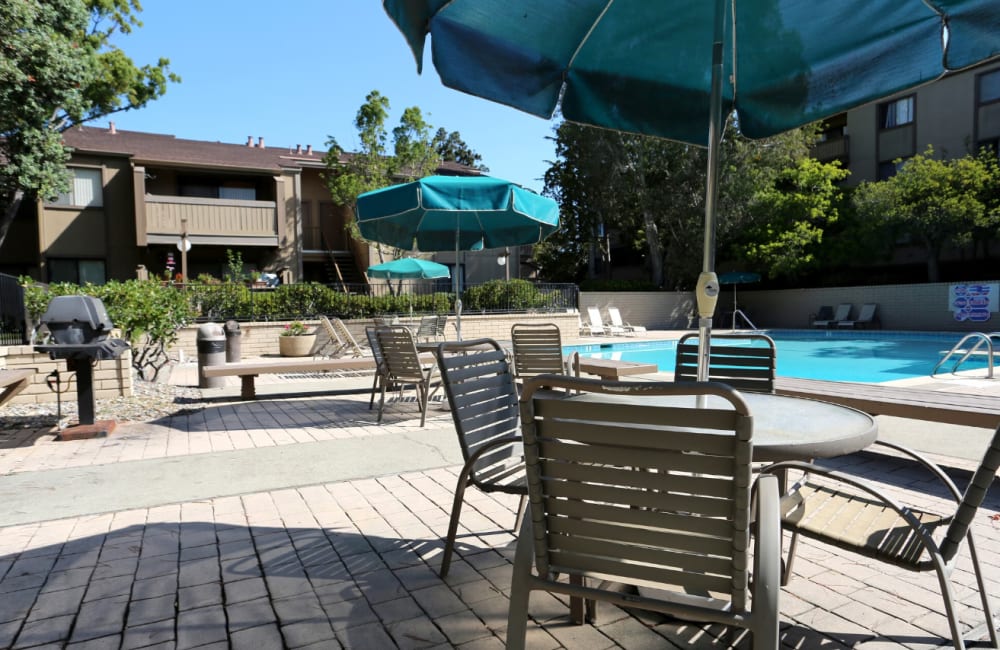 Relax by our beautiful swimming pool at Point Alameda in Alameda, California