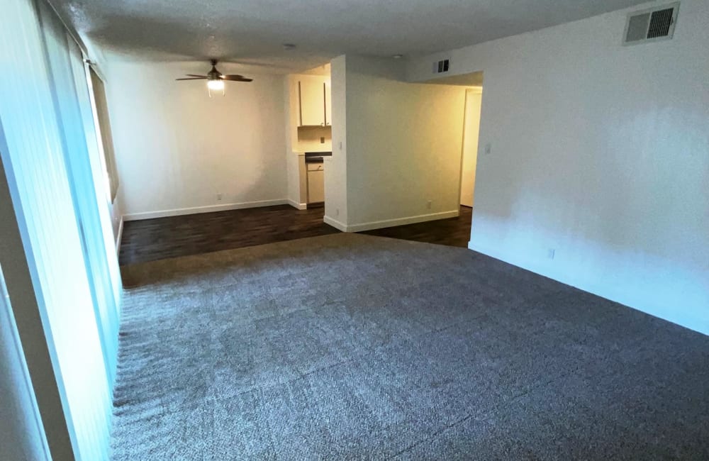Spacious floor plans with carpeting and lots of natural light at Parkway Green in Union City, California